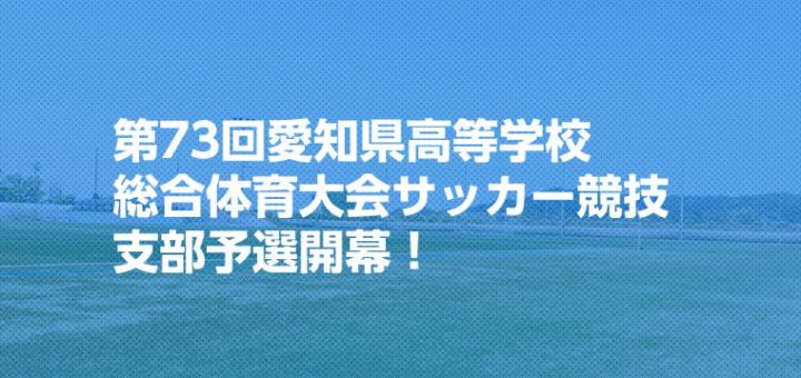 インターハイ – 愛知県サッカー応援サイト